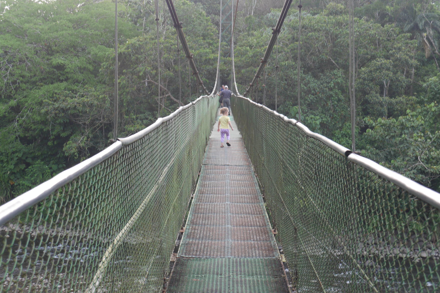 P9500975.jpg